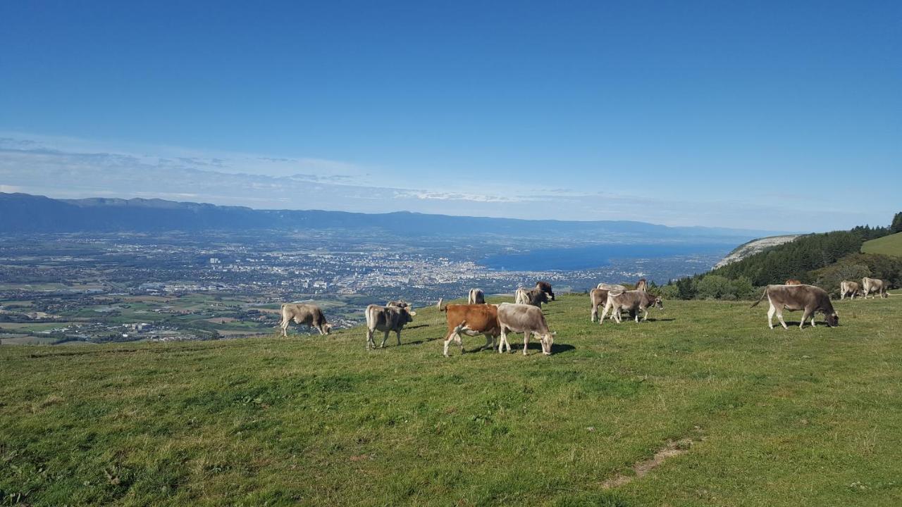 Appartement Au Calme Avec Terrasse Verdoyante Entre Annecy Et Geneve Villy-le-Pelloux Bagian luar foto