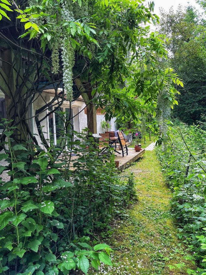Appartement Au Calme Avec Terrasse Verdoyante Entre Annecy Et Geneve Villy-le-Pelloux Bagian luar foto